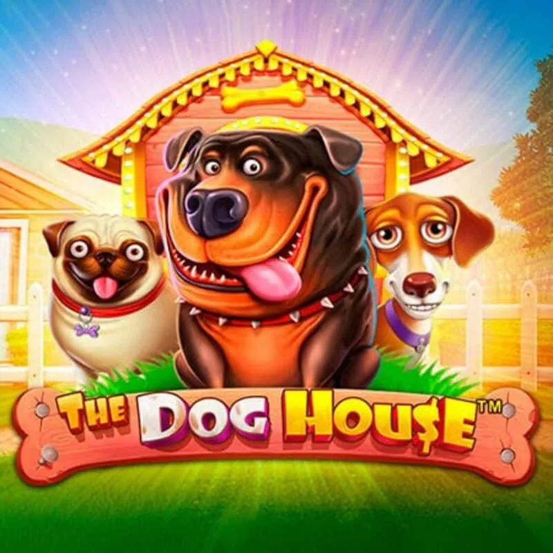 The Dog House — 8Casino Bet